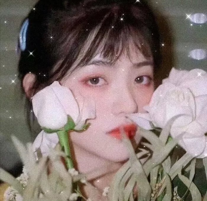 血战红河